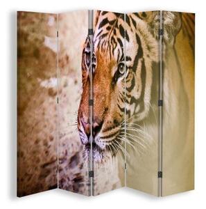 Ozdobný paraván, Portrét tygra - 180x170 cm, päťdielny, klasický paraván