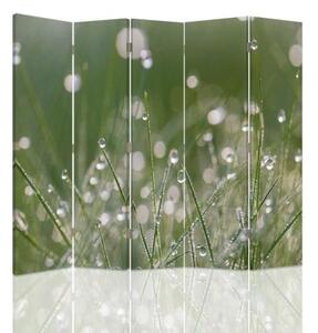 Ozdobný paraván, Kapky rosy na trávě - 180x170 cm, päťdielny, klasický paraván
