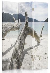 Ozdobný paraván, Větve stromů na tropické pláži - 110x170 cm, trojdielny, klasický paraván