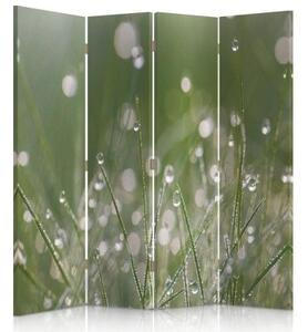 Ozdobný paraván, Kapky rosy na trávě - 145x170 cm, štvordielny, klasický paraván
