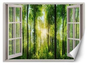 Fototapeta, Pohled z okna na sluneční paprsky v lese - 280x200 cm