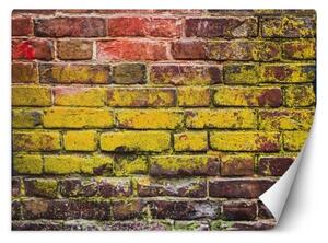 Fototapeta, Stará barevná cihlová zeď - 100x70 cm