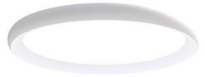 STROPNÉ LED SVIETIDLO, 30/3,5 cm Novel - Interiérové svietidlá