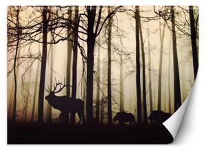 Fototapeta, Zvířata v pralese - 400x280 cm