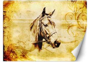 Fototapeta, Retro hlava koně - 100x70 cm