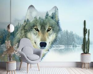 Fototapeta, Vlk na pozadí lesa - 450x315 cm