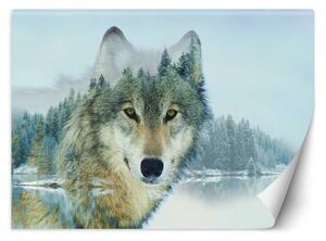 Fototapeta, Vlk na pozadí lesa - 450x315 cm