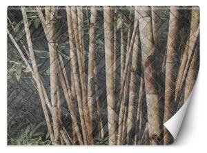 Fototapeta, Bambusový les - 368x254 cm