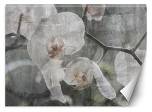 Fototapeta, Květy orchidejí - retro - 150x105 cm