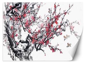 Fototapeta, Třešňové květy Japonsko - 350x245 cm