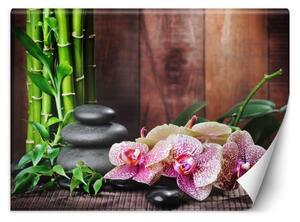 Fototapeta, Orchidej s bambusem - 200x140 cm