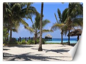 Fototapeta, Maledivy Palm Paradise Beach - 450x315 cm