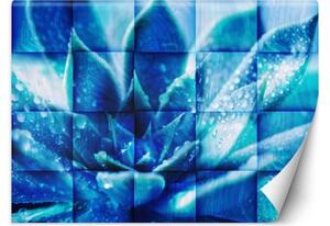 Fototapeta, Modrá květina - 150x105 cm