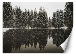 Fototapeta, Jezero v lese v zimě - 100x70 cm