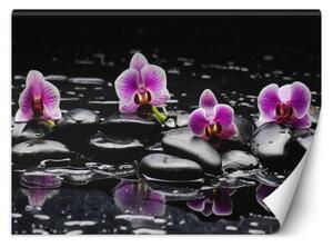 Fototapeta, Zenové kameny a orchideje - 200x140 cm