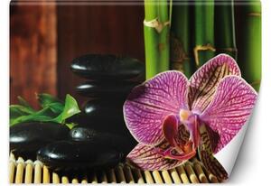 Fototapeta, Orchidej Zenové kameny a bambus - 200x140 cm