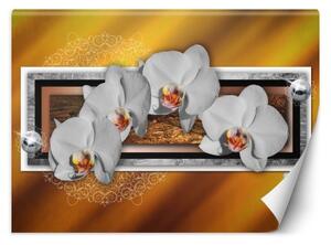 Fototapeta, Geometrie a orchideje - 200x140 cm