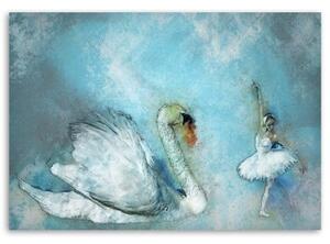 Obraz na plátně, Labutí baletka tyrkysová - 60x40 cm