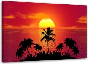 Obraz na plátně, Tropické palmy při západu slunce - 100x70 cm