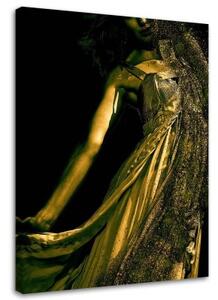 Obraz na plátně, Zlatý půvab ženy - 40x60 cm