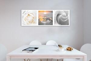 Obraz na plátně, Bílé růže Květiny panoráma - 90x30 cm