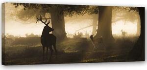 Obraz na plátně, Jelen v lese Fog Brown - 120x40 cm