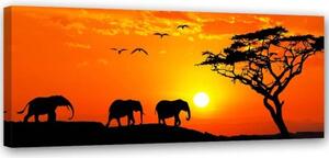 Obraz na plátně Afrika Západ slunce Sloni - 150x50 cm