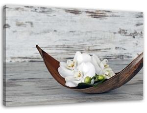Obraz na plátně, Květiny Orchidej Dřevo Zen Spa - 100x70 cm