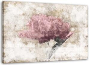 Obraz na plátně Květina abstraktní Vintage - 100x70 cm