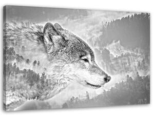 Obraz na plátně Vlk na pozadí lesní přírody - 90x60 cm