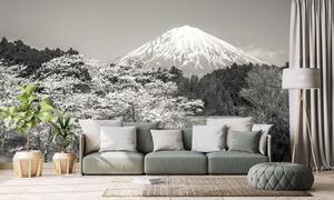 Samolepiaca fototapeta hora Fuji v čiernobielom