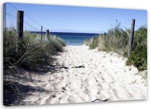 Obraz na plátně duny cesta pláž moře - 100x70 cm