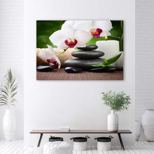 Obraz na plátně, Zenové květiny orchidejí - 60x40 cm