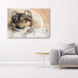 Obraz na plátně, Vlk Zvíře Příroda Béžová - 60x40 cm