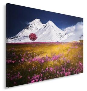 Obraz na plátně Horská krajina Příroda - 60x40 cm