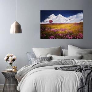 Obraz na plátně, Horská krajina Příroda - 60x40 cm