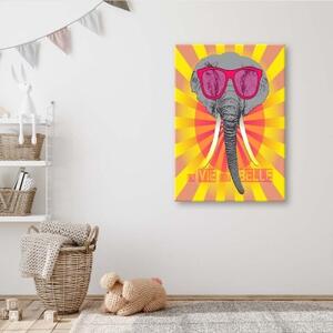 Obraz na plátně Barevný slon s brýlemi - 40x60 cm