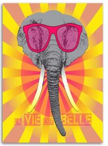 Obraz na plátně Barevný slon s brýlemi - 40x60 cm