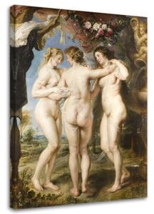 Obraz na plátně REPRODUKCE Tři grácie Rubens - 40x60 cm