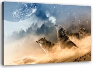 Obraz na plátně, Vlk v mlžném lese Příroda - 100x70 cm