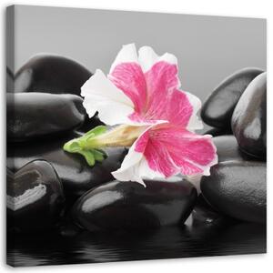 Obraz na plátně Květiny Zenové kameny - 40x40 cm