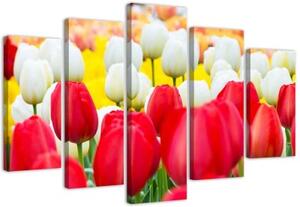 Obraz na plátně pětidílný Tulipán červený bílý - 100x70 cm