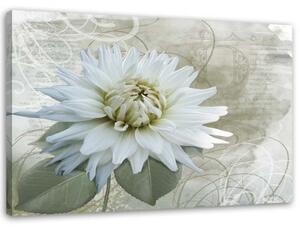 Obraz na plátně Bílá květina béžová Vintage - 90x60 cm