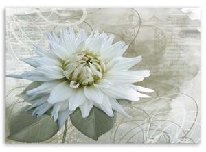 Obraz na plátně Vintage béžová květina - 60x40 cm