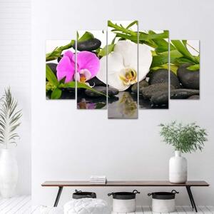 Obraz na plátně pětidílný Orchidejové bambusové kameny - 100x70 cm