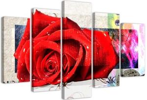 Obraz na plátně pětidílný Červená růže Květina Příroda - 150x100 cm