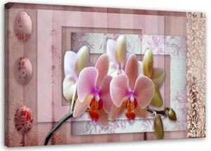 Obraz na plátně Růžové květiny orchidejí - 60x40 cm