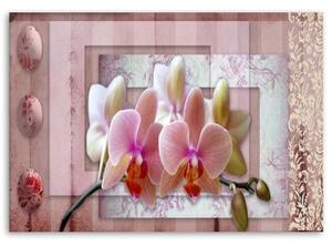 Obraz na plátně Růžové květiny orchidejí - 60x40 cm