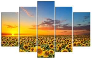 Obraz na plátně pětidílný Západ slunce se slunečnicemi - 100x70 cm
