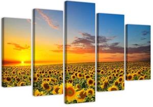 Obraz na plátně pětidílný Západ slunce se slunečnicemi - 100x70 cm